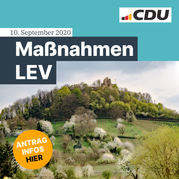 Antrag Maßnahmen LEV